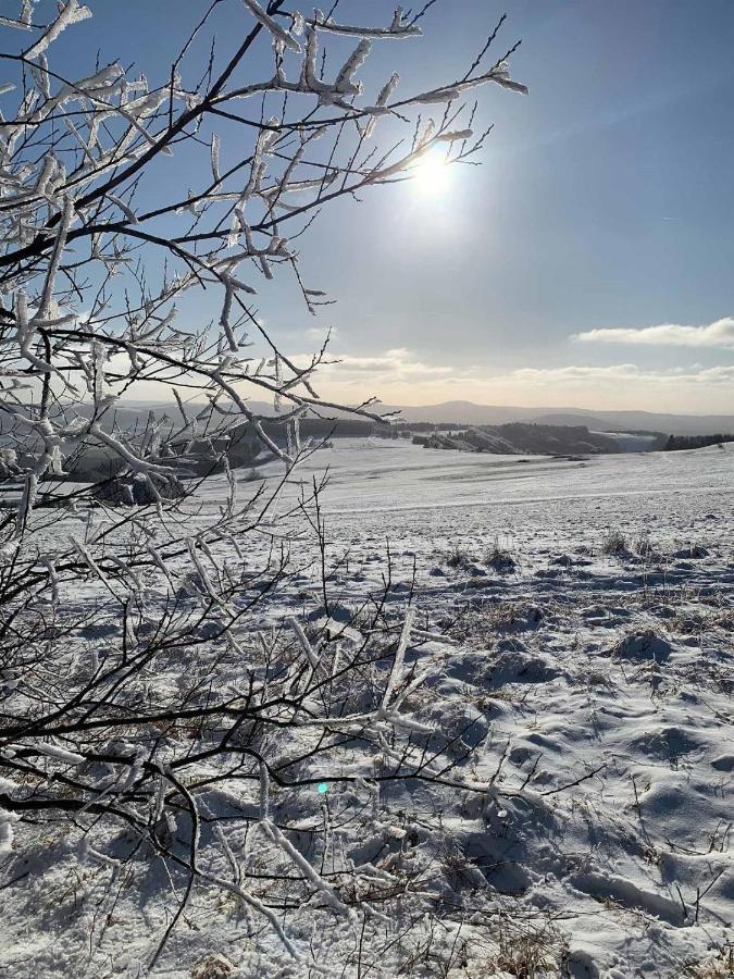 Ferienwohnung Stirnbergblick Ehrenberg  Екстер'єр фото