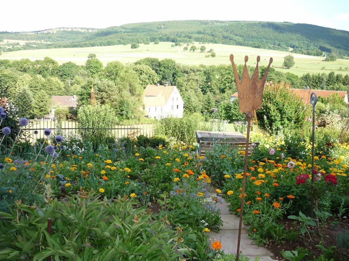 Ferienwohnung Stirnbergblick Ehrenberg  Екстер'єр фото